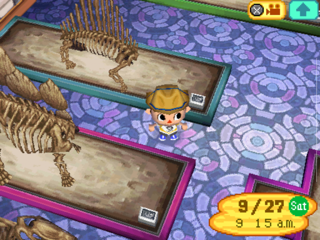Spielszene aus Animal Crossing Wild World auf dem Nintendo DS: Ein Spielercharakter trägt Forscherhut und betrachtet Dinosaurier-Fossilien im Museum. Das Sammeln und Spenden von Fossilien war ein zentrales Ziel des Spiels und sorgte für Langzeitmotivation.